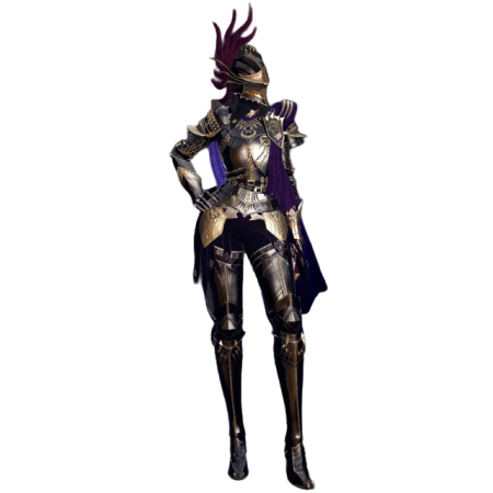 Elegy armor, Vindigold for sale, vindictus gold for sale