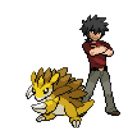 Sell PokeMMO Gold