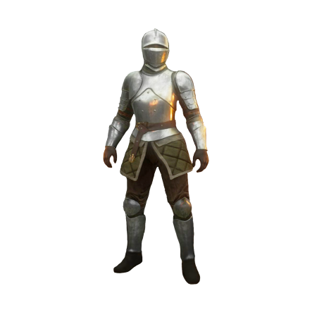 Buy New World Gold, Guardian character with full armor