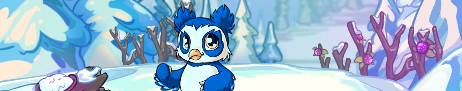 buy neopets accounts, neopet account for sale, vandagyre